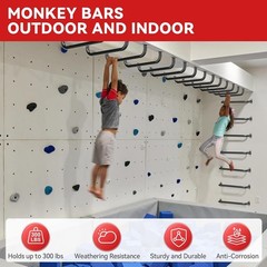 17.3 Inch Safety Playground Handles Metal Kids Indoor Outdoor Climbing Monkey…