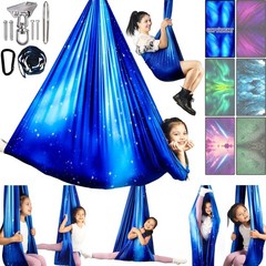Sensory Swing for Kids & Adults Holds up to 300lbs Indoor & Outdoor Double La…
