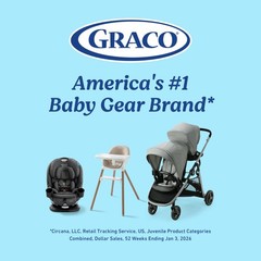 Graco Slim Spaces Compact Baby Swing, Space 39 x 23.25 x 35 Inch, Reign