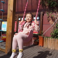 Versatile Pink Swing Seat – Heavy-Duty, Safe for Up to 250 lbs, Easy Install