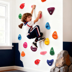 Rock Climbing Holds Set with Hardware for Kids Indoor Outdoor Playground Wall