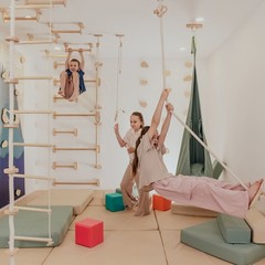 Kids Climbing Ropes Set Ceiling Mounted Swing Rings Ladder Indoor Play Gym