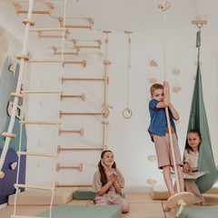 Kids Climbing Ropes Set Ceiling Mounted Swing Rings Ladder Indoor Play Gym