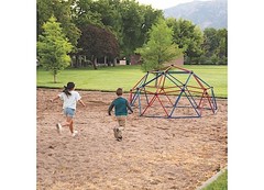 Lifetime 101301 Kids Metal Dome Climber (Red And Blue)