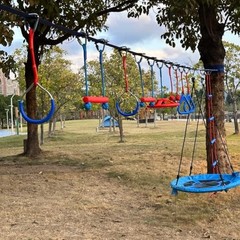 65 FT Ninja Warrior Obstacle Course Swing Set for Kids with 12