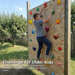 Climbing Holds Multi Size for Kids and Adults, Indoor Outdoor Rock Wall Grips