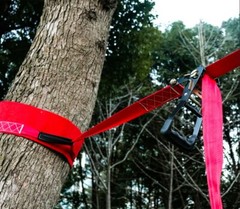 42.5ft Ninja Warrior Obstacle Course for Kids Ninja Line Slackline Climbing Rope