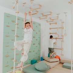 Kids Climbing Ropes Set Ceiling Mounted Swing Rings Ladder Indoor Play Gym