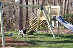 3 Pack Swing Set with Trapeze Bar & Plastic Chain Outdoor Playground Green