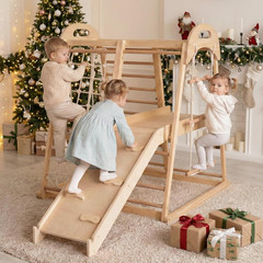 Indoor Jungle Gym, 8 in 1 Wooden Montessori Toddler Climbing Toys with Adjustabl