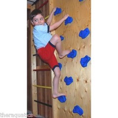 Rock Wall DIY BLUE Plastic Hand Hold Hold Foot Hold Child Kid Upper Body Kit