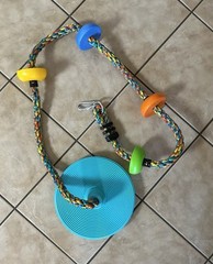 Tree Swing for Kids Disc Seat w/ Rainbow Climbing Rope & Carabiner Outdoor Fun