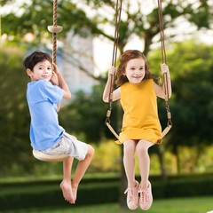Tree Swing Climbing Rope 2 Pack Multicolor with Platforms Red Disc Swings Sea…