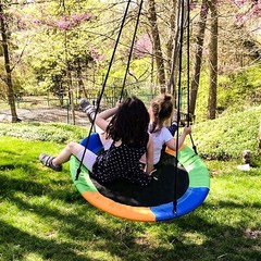 Columpio De Arbol Para Patio Jardin Para Niños 2 3 4 5 6 Años Y Adultos Grandes