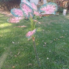 Set Of 2 5 Foot Giant Artificial Silk Caladium Bushes Pink Red Green