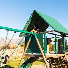 New Lifetime Big Stuff Deluxe Swing Set + 2 Slides, Monkey Bars Outdoor Kids Fun