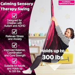 Sensory Swing for Kids Indoor and Outdoor Therapy Cuddle Swing Space Pink