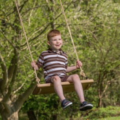 Lehman’s Old-Fashioned Rectangular Tree Swing