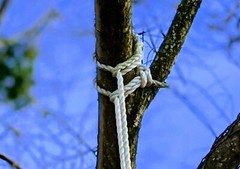Custom Made Unique Side Swinging Pine Tree Swing *made in the USA*