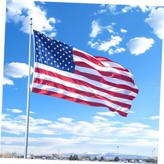 Sturdy American Flag 3×5 FT Outdoor, Heavy Duty 210D Nylon Longest 3x5FT