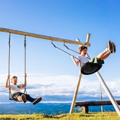 Black Rope Swing Seat Adults & Toddler Heavy Duty Tree Swing W/ Ergonomic