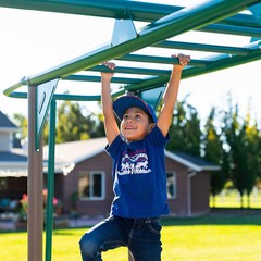 New Lifetime Big Stuff Deluxe Swing Set + 2 Slides, Monkey Bars Outdoor Kids Fun