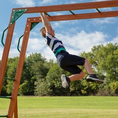 Backyard Discovery Skyfort II Cedar Wood Swing Set with Wave Slide, Brown