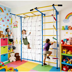 Multicolor Playground Laddeer Wall Gym with Monkey Bars, Rope Ladder, Rope Wall