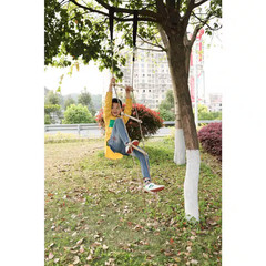 Wooden Swings with 4 Included Ropes, Tree Swing, Bar, Climbing Rope Ladder and S