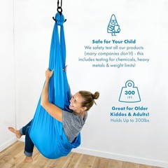 Sensory Swing for Kids & Adults – Holds 300lbs, Indoor Outdoor Sensory Swing …