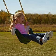 Swing-N-Slide Heavy-Duty Swing Seat
