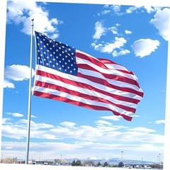 Sturdy American Flag 3×5 FT Outdoor, Heavy Duty 210D Nylon Longest 3x5FT