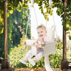 Hanging Chair Swing Seat with Heavy Duty Rope and Seat Belt for Toddlers Kids
