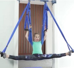 Indoor Door Mount Gym Set- Pull Up Bar, Ladder, 3 x Swings, Trapeze, Rope, Rings