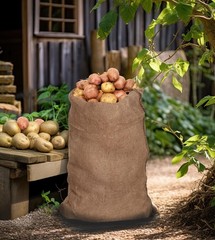 Potato Sack Race Bags – 4 Pack – 24×39 Large Burlap Race Sacks for Kids & Adu…