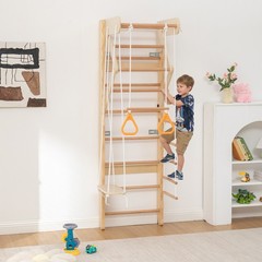 6-in-1 Swedish Ladder Wall Gym, Indoor Kids Playground with Swing