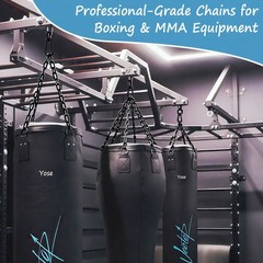 2 Pack 25in Heavy Duty Swing Chains with 4 Carabiners, Black Stainless Steel …