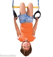 Swing-N-Slide Ring and Trapeze Combo Swing Spin CIRCUS TODDLER Kids Fun WS4488