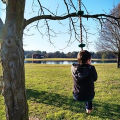 Climbing Rope with Platforms and Disc Swing Seat Set Playground Including Bon…