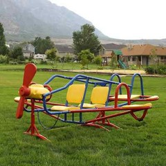 Lifetime Ace Flyer Teeter-Totter PRIMARY COLORS- for EARTHTONES Ask