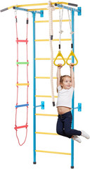 Indoor Jungle Gym for Toddlers, 5-In-1 Climbing Playset with Carbon Steel Swedis