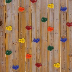 25 PCS Rock Climbing Holds Set with Mounting Screws & Hardware for DIY Kids Indo