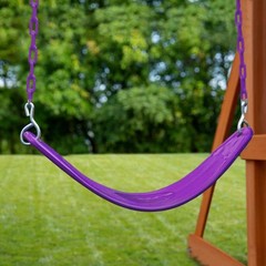 Extreme-Duty Plum Belt Swing with Purple Chains