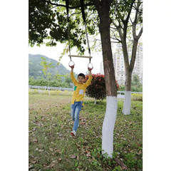 Wooden Swings with 4 Included Ropes, Tree Swing, Bar, Climbing Rope Ladder and S