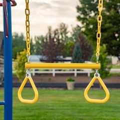 Lifetime 91022 Monkey Bar Adventure Swing Set Red Yellow Blue Outdoor Playground