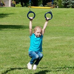 WS 5100 2 Pack of Green Swing Seats with Ring/Trapeze Combo Swing Swing Set R…