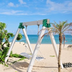 A-Frame 2 Swing Set Brackets, Heavy Duty Steel Swing Set Hardware with Mounting