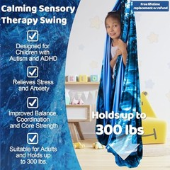 HiCamer Double Layer Sensory Swing for Kids & Adults Holds up to Ice Teal