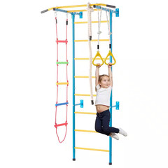 Indoor Jungle Gym for Toddlers, 5-In-1 Climbing Playset with Carbon Steel Swedis